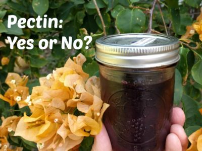 Why Store Pectin for Home Canning is Unhealthy (+ What to Use Instead)