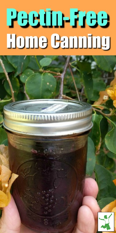 pectin-free home canning