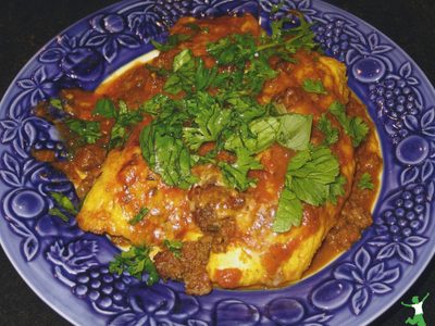 grain-free enchilada on decorative blue plate
