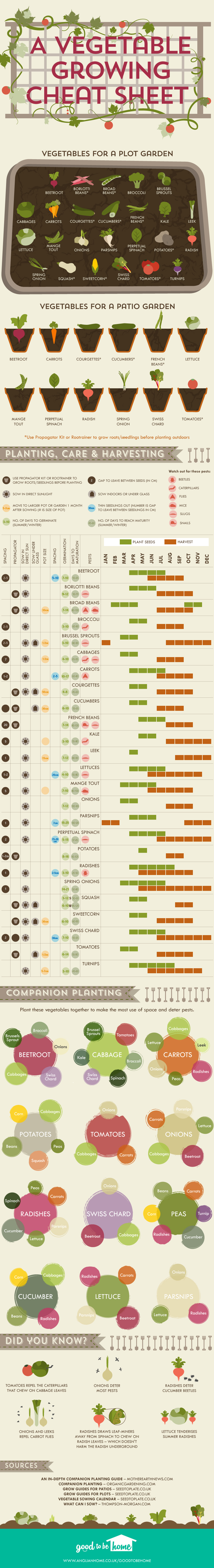 Vegetable-growing-cheat-sheet_mini