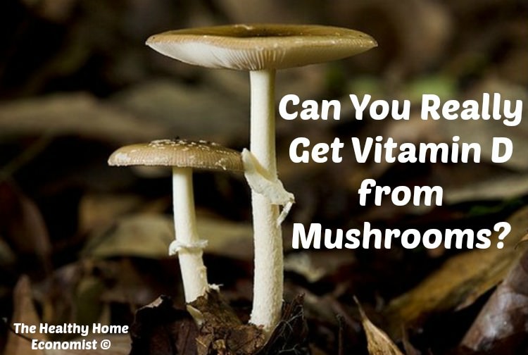 vitamin d in mushrooms