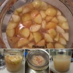 stages of fermenting raw apple cider vinegar