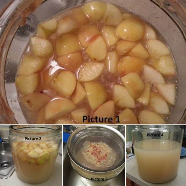 stages of fermenting raw apple cider vinegar