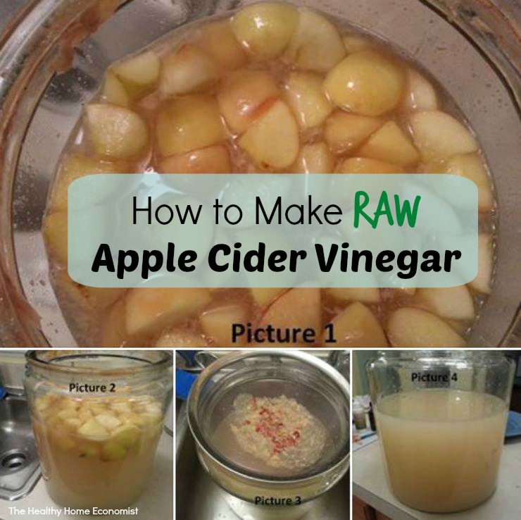 apple cider fermenting into vinegar in a glass jug