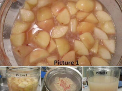 stages of fermenting raw apple cider vinegar