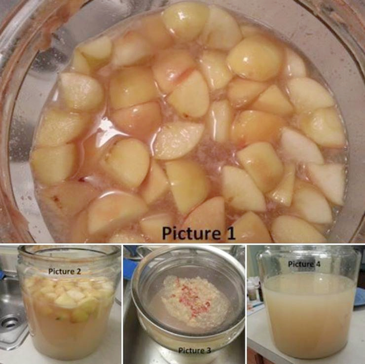 stages of fermenting raw apple cider vinegar
