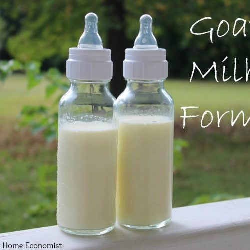 Goat milk is good for sales newborn baby