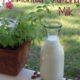 almond milk recipe