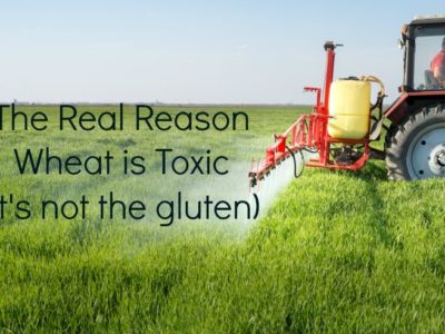 The Real Reason Wheat is Toxic (it's not the gluten)