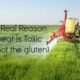 The Real Reason Wheat is Toxic (it's not the gluten)