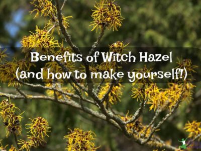 witch hazel extract