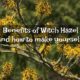 witch hazel extract