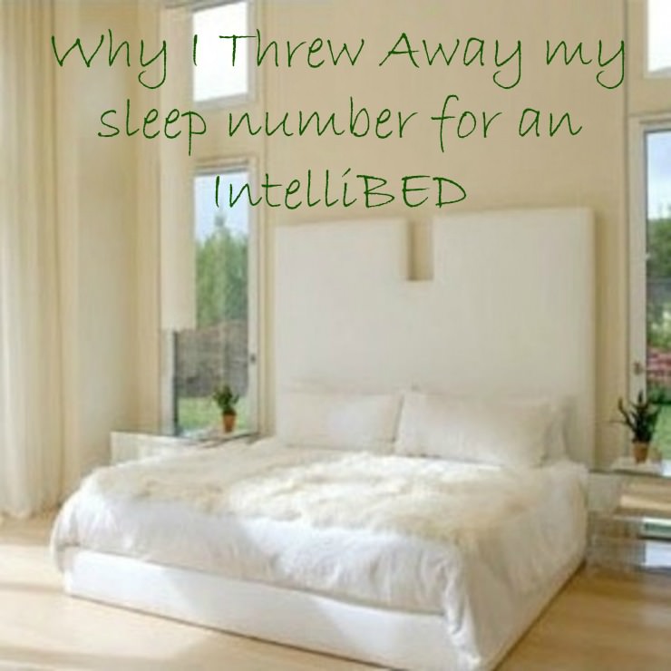 intellibed review