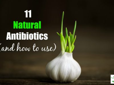 best natural antibiotics