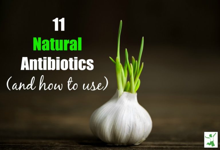 How to SAFELY Use the Best Natural Antibiotics Healthy Home Economist