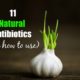 best natural antibiotics