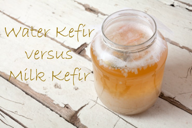 water kefir versus milk kefir