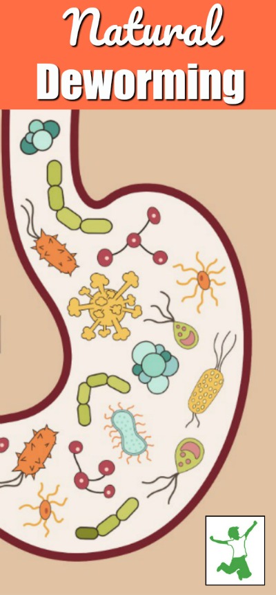 types of parasites that require natural deworming methods