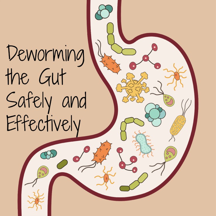 deworming the gut naturally