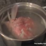 fish stock in a pot