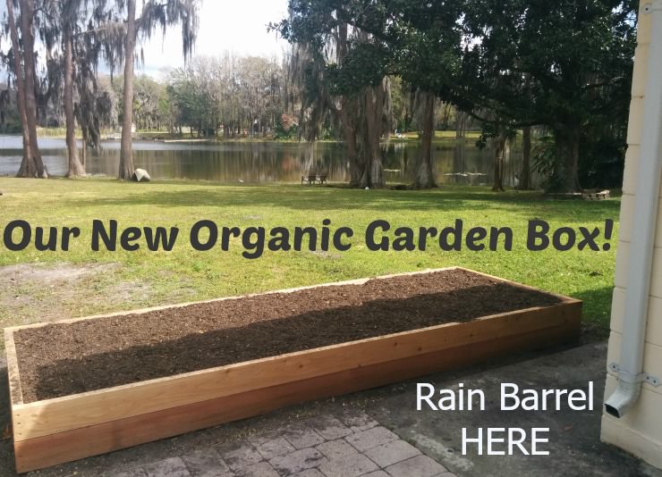 new organic patio garden box