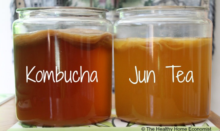 jun versus kombucha in side by side glass jars