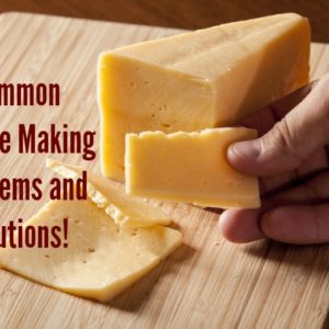 5 Tips for Long Lasting Raw Milk Freshness Healthy Home Economist