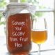 How to Save Your SCOBY from a Fruit Fly Infestation