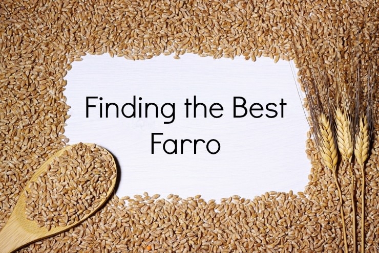finding the best farro to buy_mini
