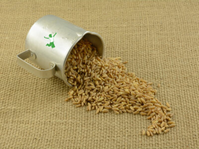 best farro spilling out of stainless steel cup onto a burlap mat