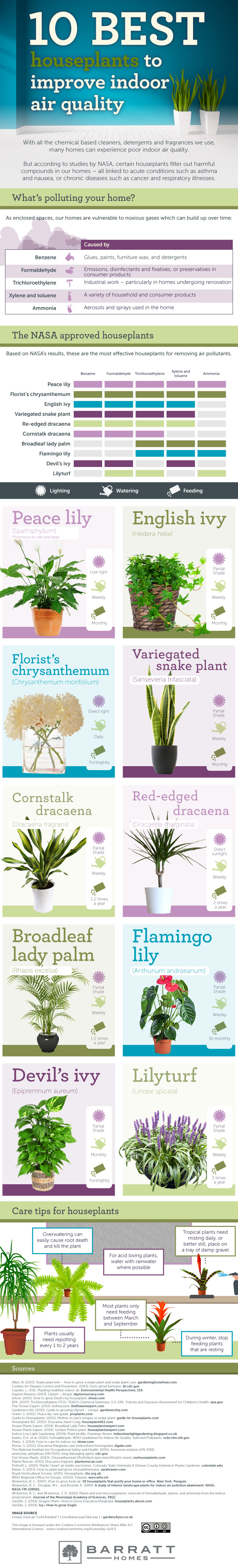 10-best-houseplants-to-improve-indoor-air-quality---V3_mini