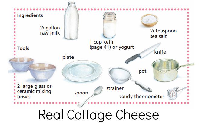 cottage cheese