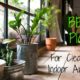 Top 10 House Plants for Clean Indoor Air
