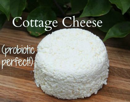 Probiotic Perfect Cottage Cheese The Healthy Home Economist