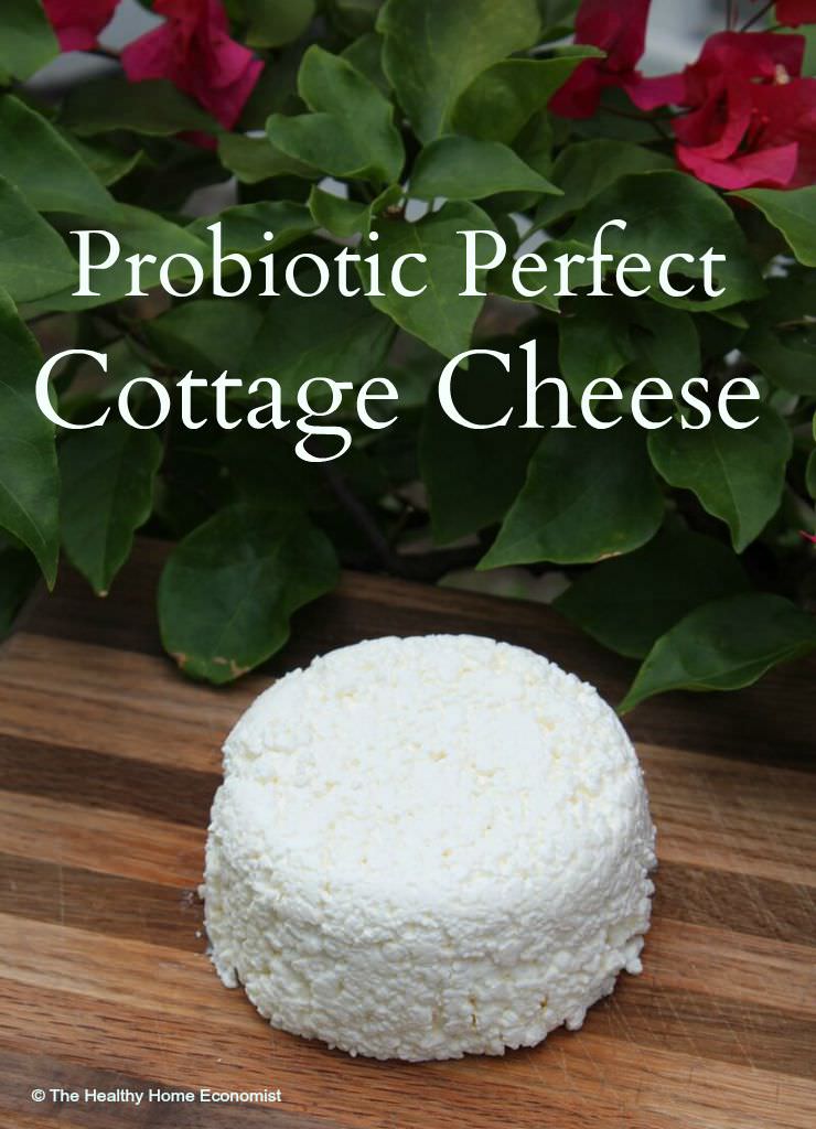Probiotic Perfect Cottage Cheese The Healthy Home Economist