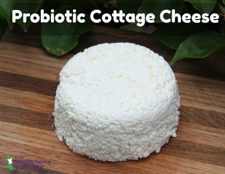 Probiotic Perfect Cottage Cheese Healthy Home Economist