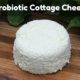 Perfectly Probiotic Cottage Cheese (enzyme rich too!)