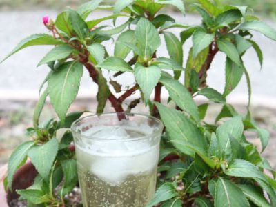 Switchel (Haymakers Punch). Nature's Healthy Gatorade 1