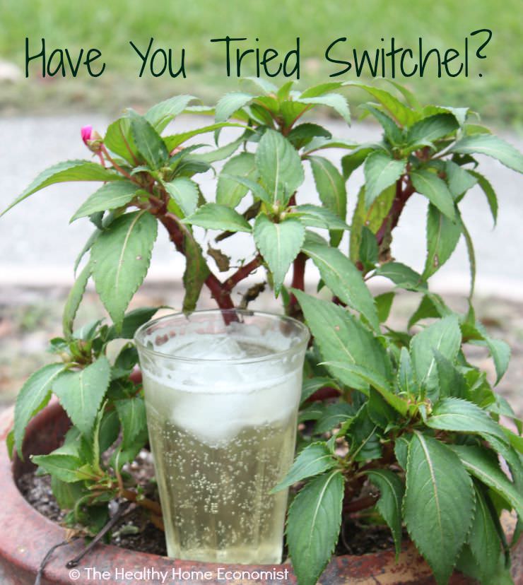 DIY switchel healthy gatorade