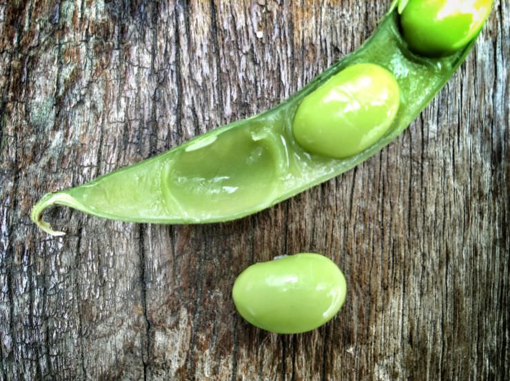 Édamame vert frais en gousse