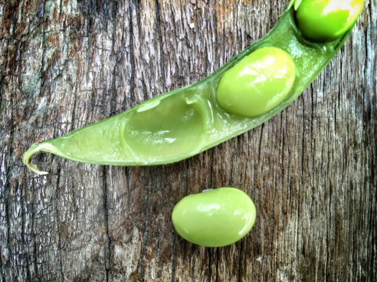 frische grüne Edamame in der Schote