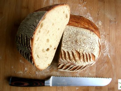 no knead sourdough bread
