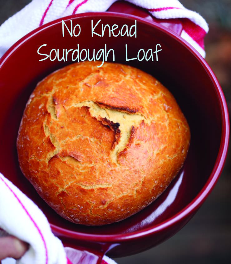 No.8 No-Knead Sourdough Bread – Field Company