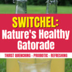 diy gatorade