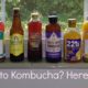Addicted to Store Kombucha? Here's Why ...