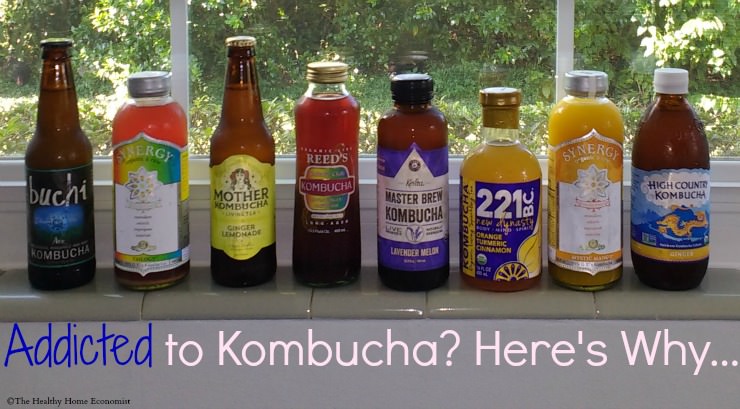 bottles of store kombucha