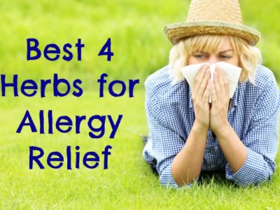 Best Herbs for Allergy Relief (and how to use them)