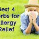 Best Herbs for Allergy Relief (and how to use them)