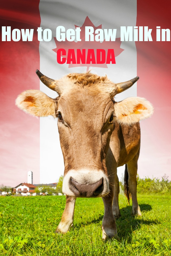 raw milk in Canada