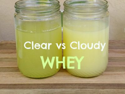 Does it Matter if Raw Whey is Clear or Cloudy? 1